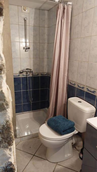Maisonnette Chaleureuse De 35M2 Miremont  Kültér fotó